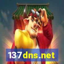 137dns.net