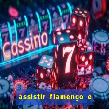 assistir flamengo e atlético mineiro