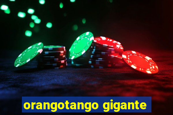 orangotango gigante