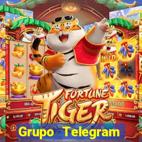 Grupo Telegram palpites futebol