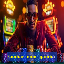 sonhar com gambá jogo do bicho