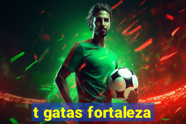 t gatas fortaleza