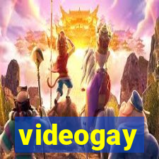 videogay